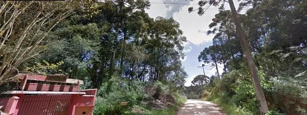 À 2 min da HAVAN em Fazenda Rio Grande - Seu Refúgio na Natureza - Terreno no Bosque Dom Bosco