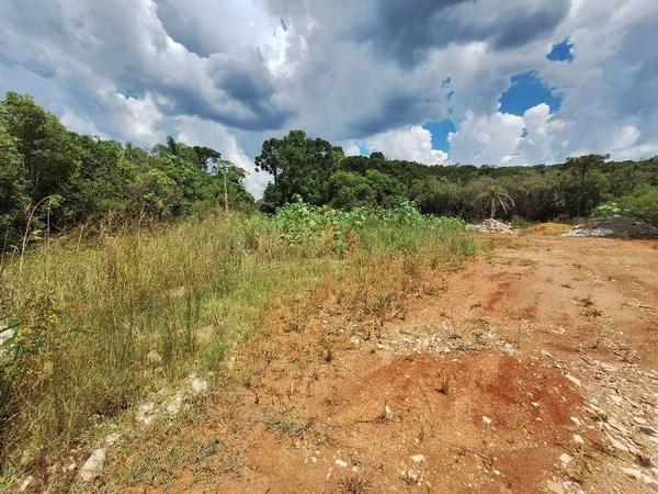 Chácara à venda, 4000 m² por R$ 235.000,00 - São Dimas - Colombo/PR