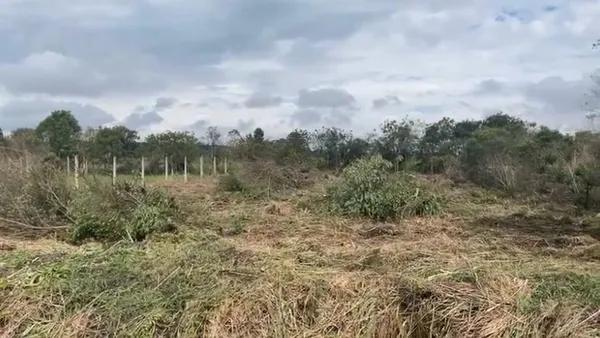 Terreno Exclusivo à Venda – São José dos Pinhais