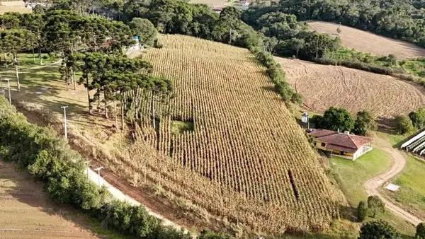 Chácara no Caminho do Vinho