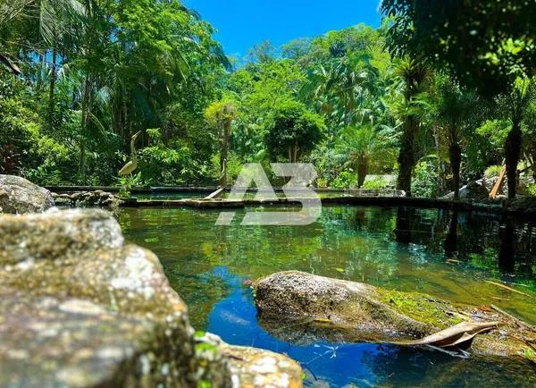 Chácara à venda, 21.500m² por R$ 629.000 - Rio Sagrado - Morretes/PR
