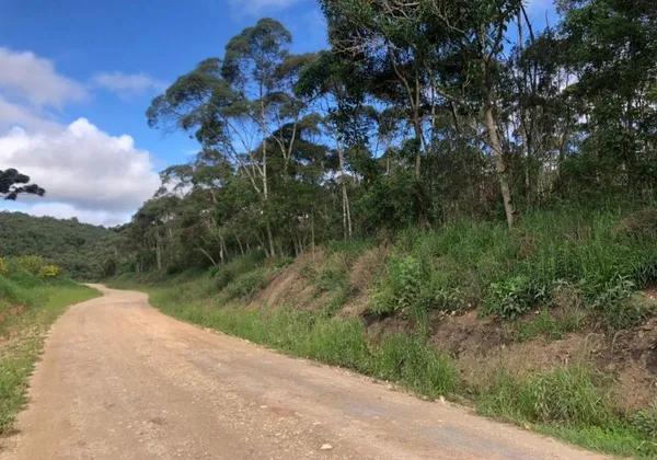 Terreno à venda, 525484m² por R$ 2.390.000 - Centro - Bocaiúva do Sul/PR