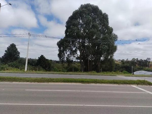 Terreno à venda, 4360 m² por R$ 1.800.000,00 - Atuba - Curitiba/PR